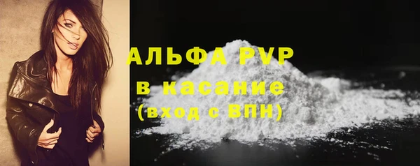 амф Бородино